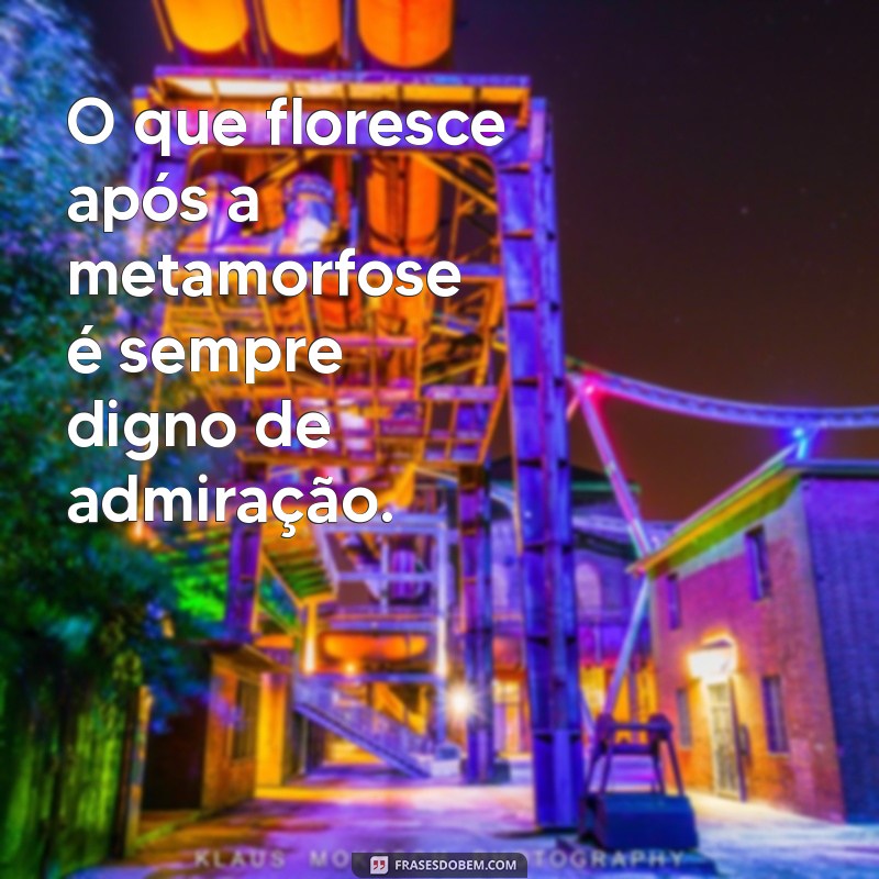 Frases Inspiradoras sobre a Metamorfose das Borboletas: Transforme sua Vida 