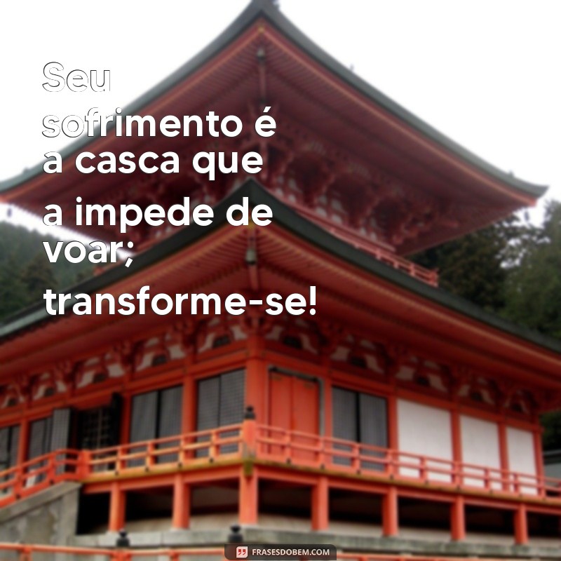 Frases Inspiradoras sobre a Metamorfose das Borboletas: Transforme sua Vida 