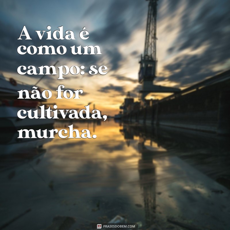 Frases Inspiradoras sobre Agricultura: Cultivando Sabedoria e Sustentabilidade 