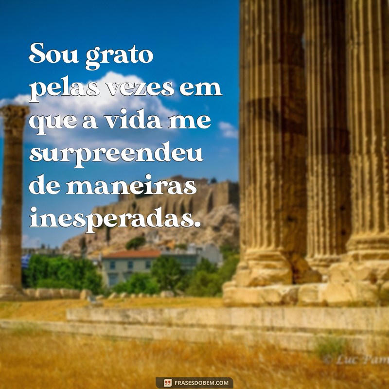 Frases Inspiradoras de Gratidão à Vida: Cultive a Positividade Diariamente 