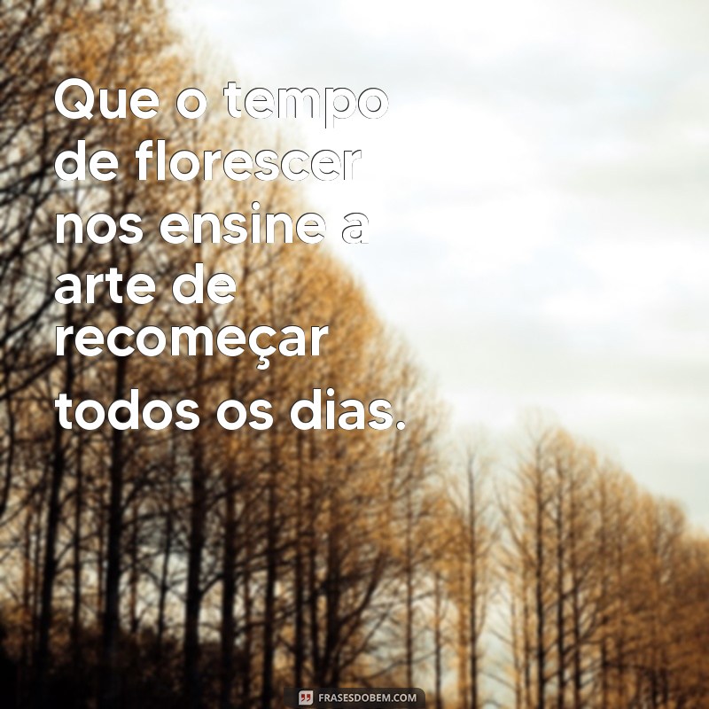 Frases Inspiradoras para Celebrar o Tempo de Florescer 