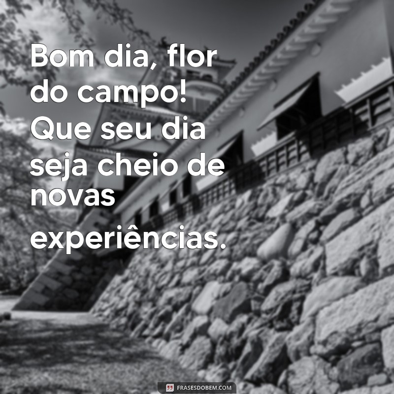 24 Frases de Bom Dia Criativas para Surpreender sua Namorada 