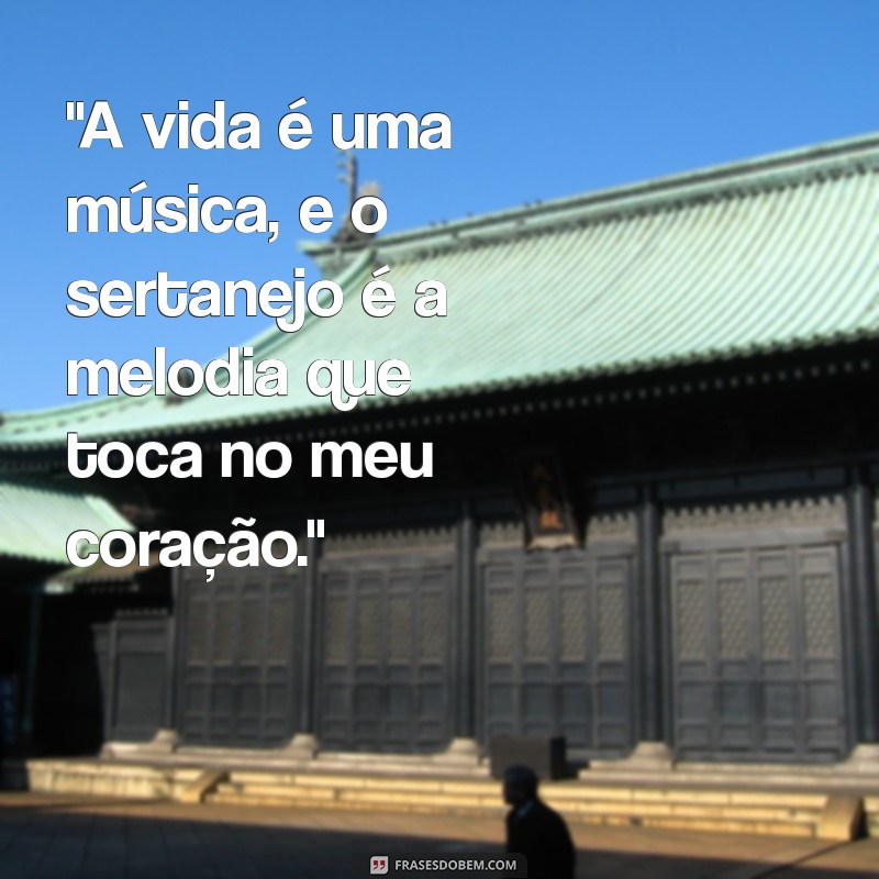 status musica sertaneja 