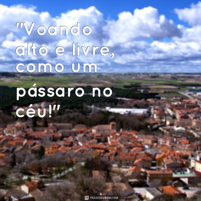 frases de paraquedista 