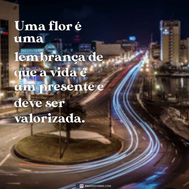 Descubra as mais belas frases sobre flores para se inspirar e encantar 