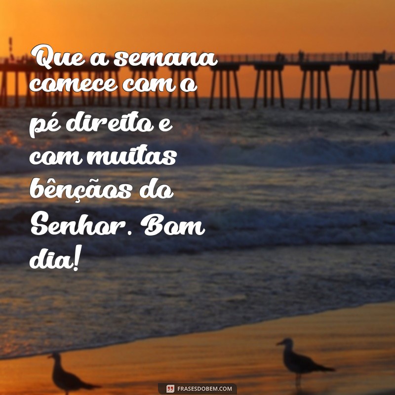 Comece sua semana com positividade: confira as melhores frases de bom dia abençoado! 