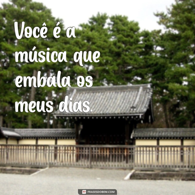 Frases Incríveis para Encantar Alguém Especial 