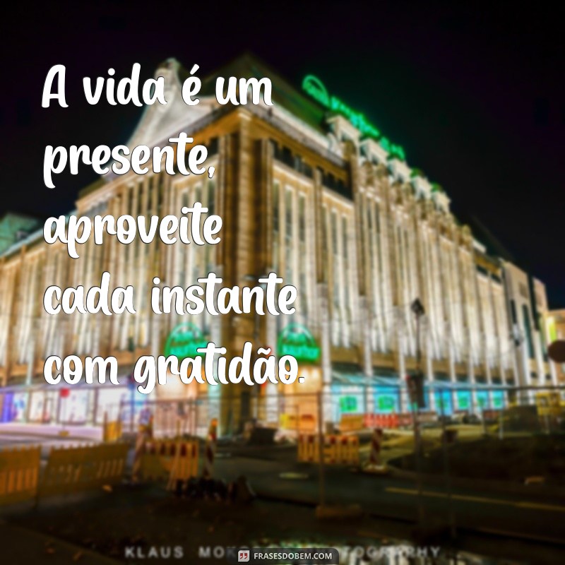 frases valorização da vida A vida é um presente, aproveite cada instante com gratidão.