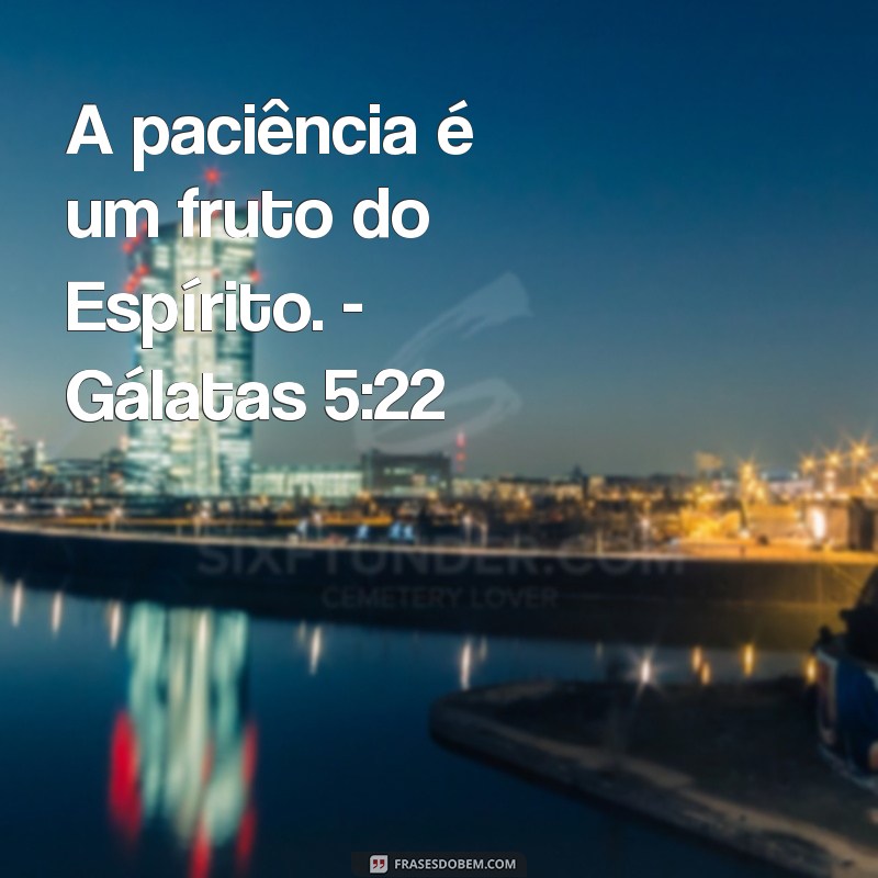 Frases Bíblicas Curtas: Inspiração e Reflexão em Poucas Palavras 