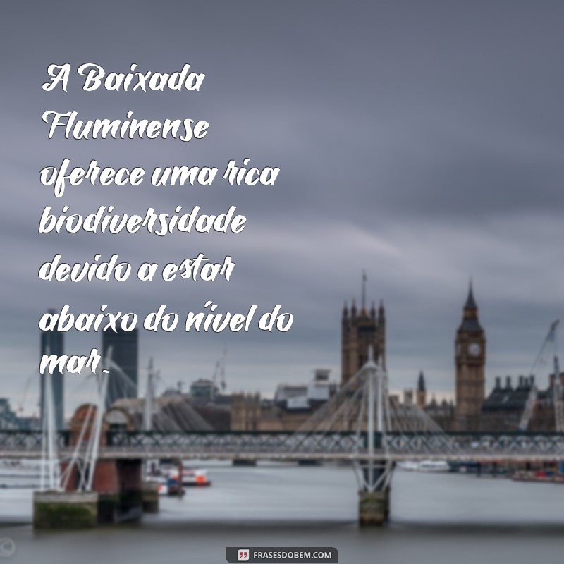 Descubra Como a Baixada Fluminense Está Abaixo do Nível do Mar: Impactos e Curiosidades 