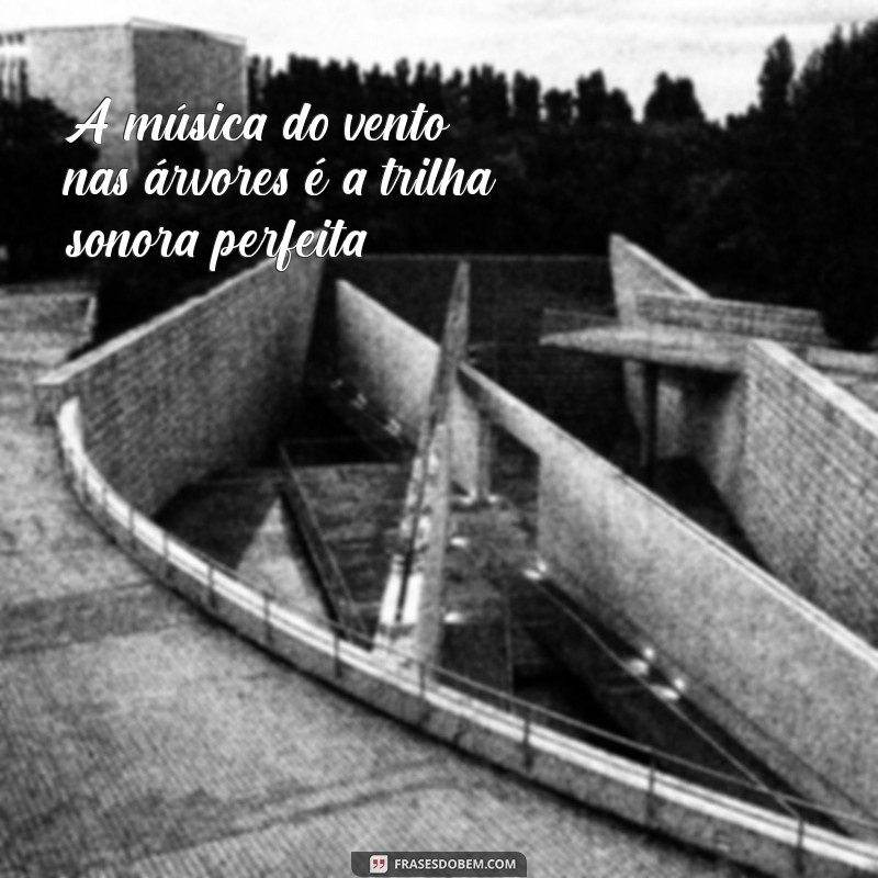 As Melhores Frases Country para Acompanhar Suas Fotos e Encantar nas Redes Sociais 