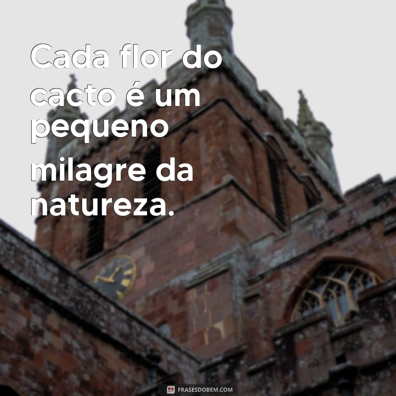 Descubra as melhores frases para se inspirar com a beleza do cacto florido 