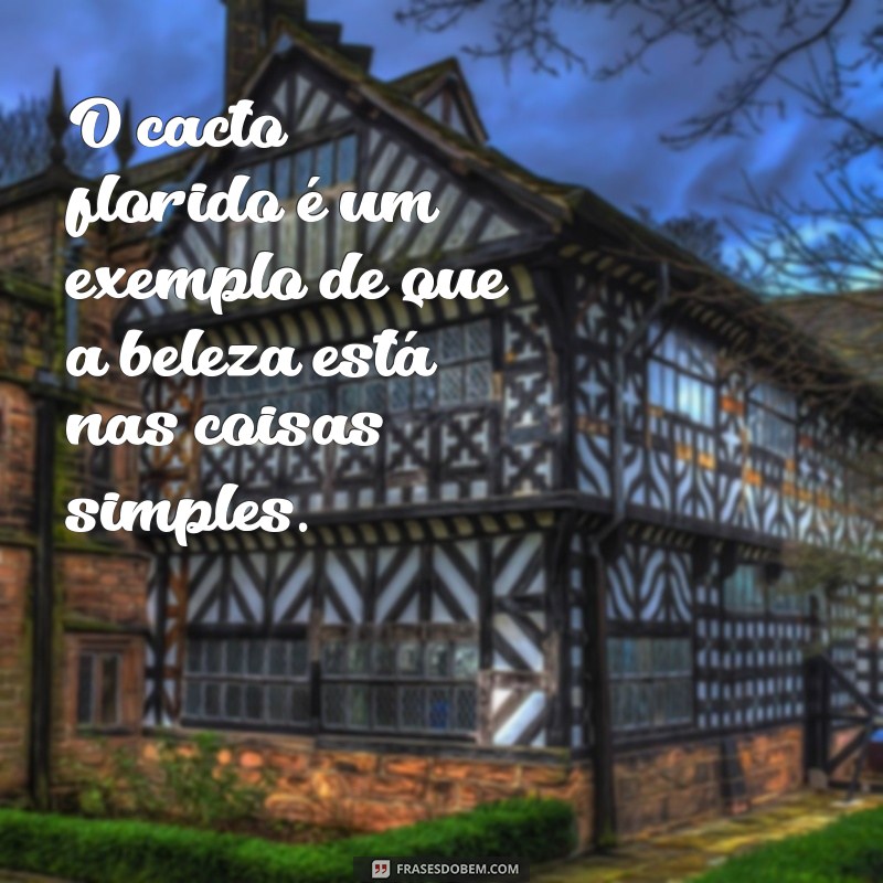 Descubra as melhores frases para se inspirar com a beleza do cacto florido 