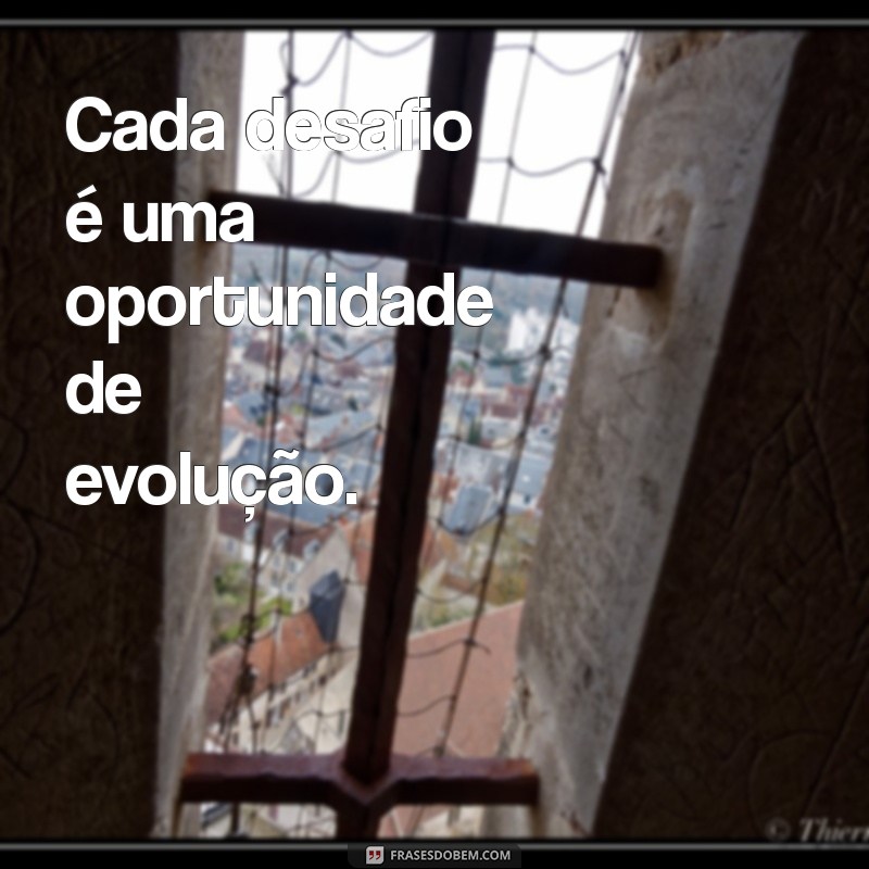 Transforme Sua Vida: Como Cada Dia Pode Ser uma Evolução Pessoal 