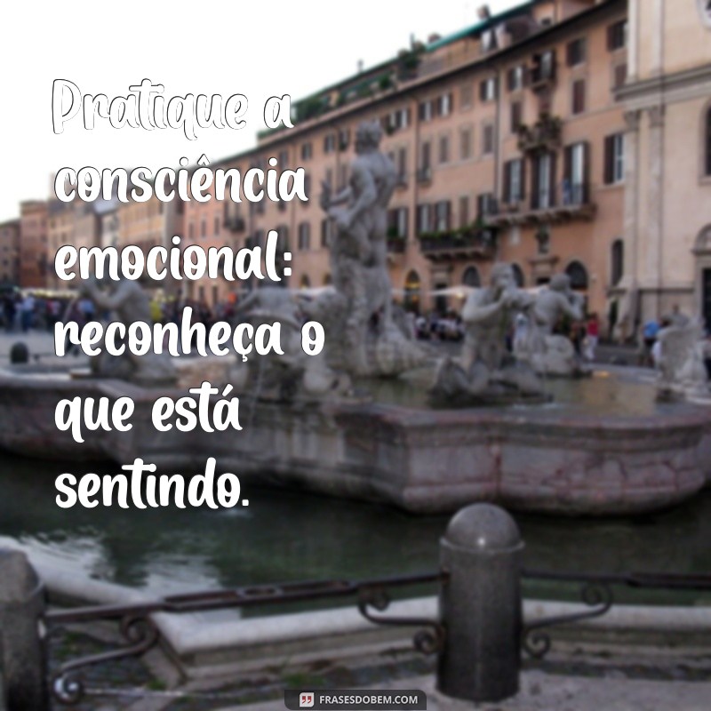 como aprender a controlar as emoções Pratique a consciência emocional: reconheça o que está sentindo.