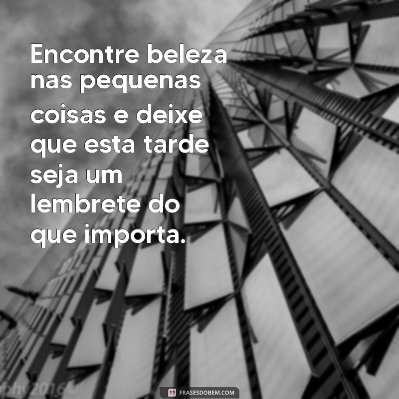 Frases Inspiradoras de Boa Tarde para Reflexão e Motivação 