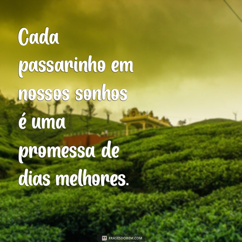 Significado dos Sonhos: O Que Significa Sonhar com Passarinhos? 