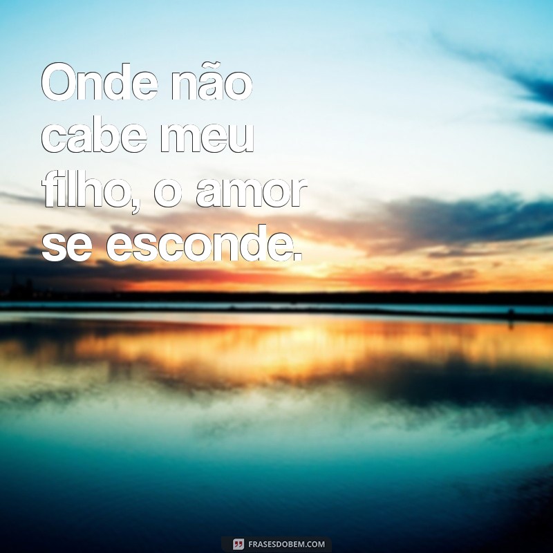 Frases Inspiradoras sobre Limites: Onde Não Cabe Meu Filho, Não Me Cabe 