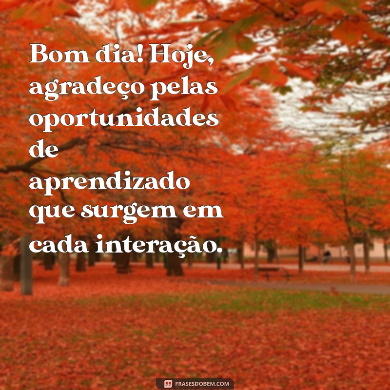 26 Frases Inspiradoras de Gratidão para Começar Seu Dia com Positividade 