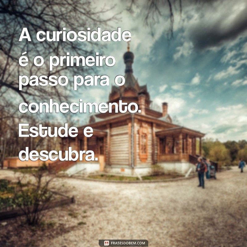 24 Frases Inspiradoras para Motivar Seus Estudos 