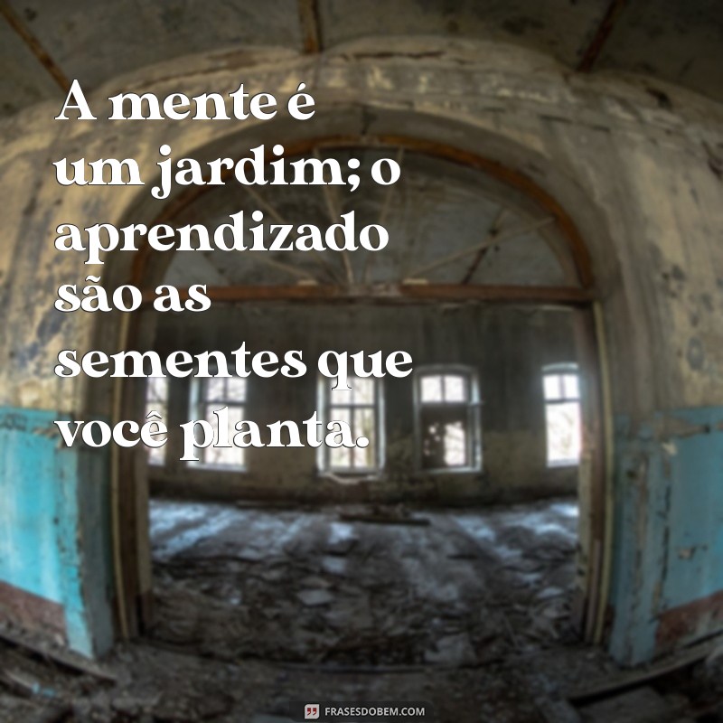 24 Frases Inspiradoras para Motivar Seus Estudos 