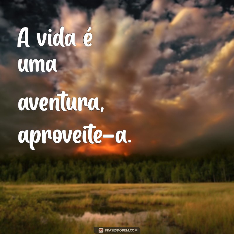 Frases Curtas sobre a Vida: Inspiração e Reflexão em Palavras Simples 