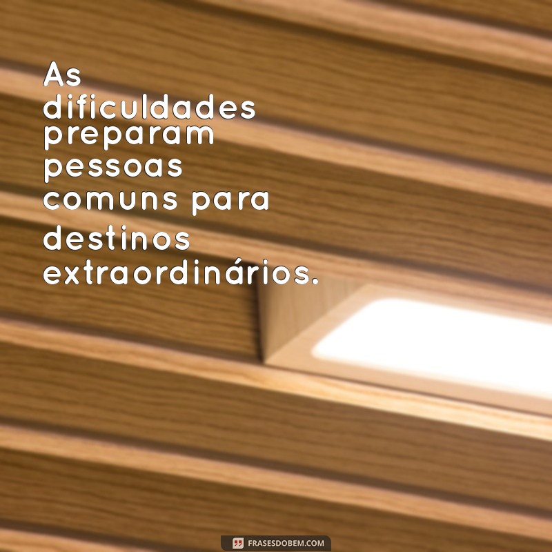 Top 23 Frases de Motivação para Inspirar Seu Dia 