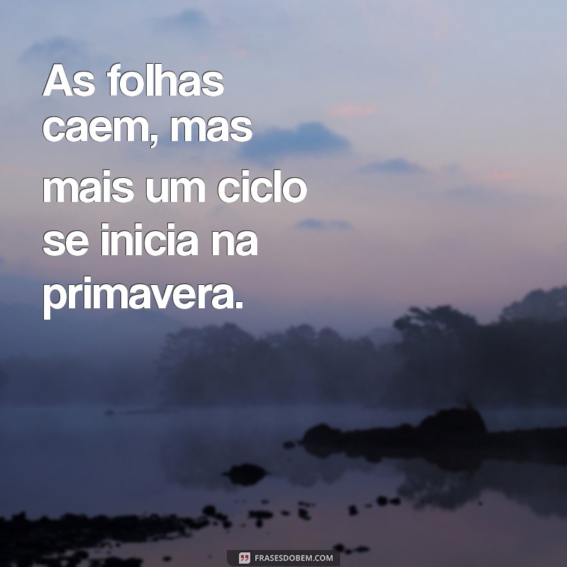 Renovação e Oportunidades: Como Cada Novo Ciclo Transforma Nossas Vidas 