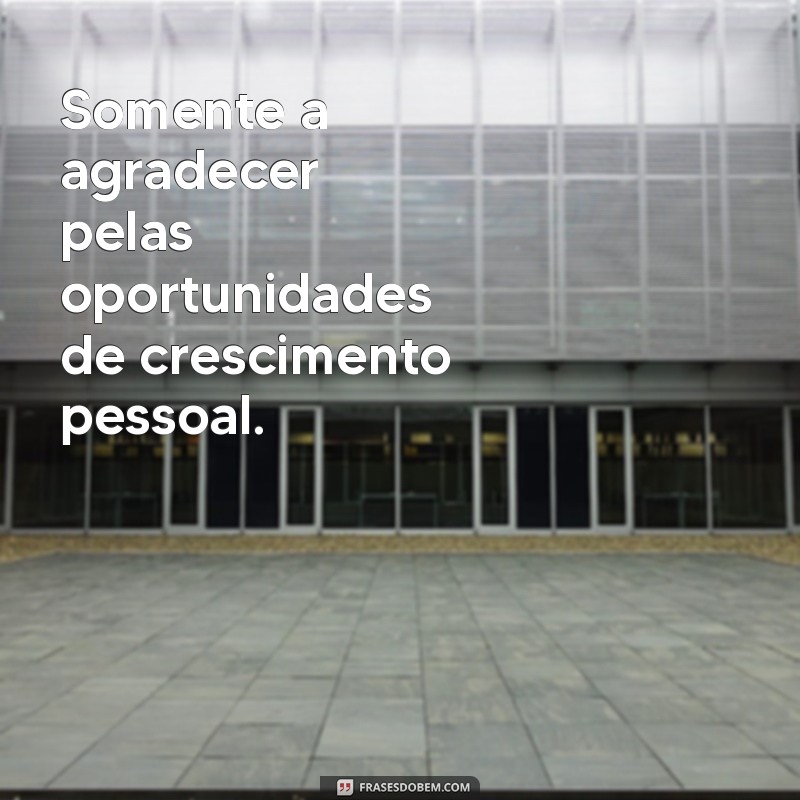 Como a Gratidão Transforma Sua Vida: Aprenda a Agradecer 