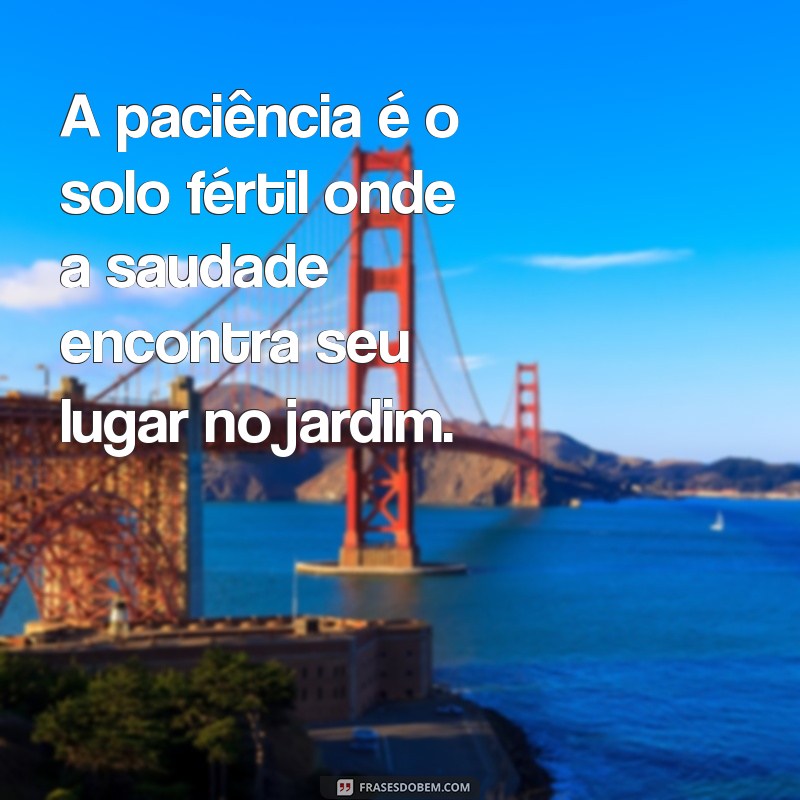 Como Entrar em Contato com o Jardim da Saudade Paciência: Telefone e Informações Úteis 