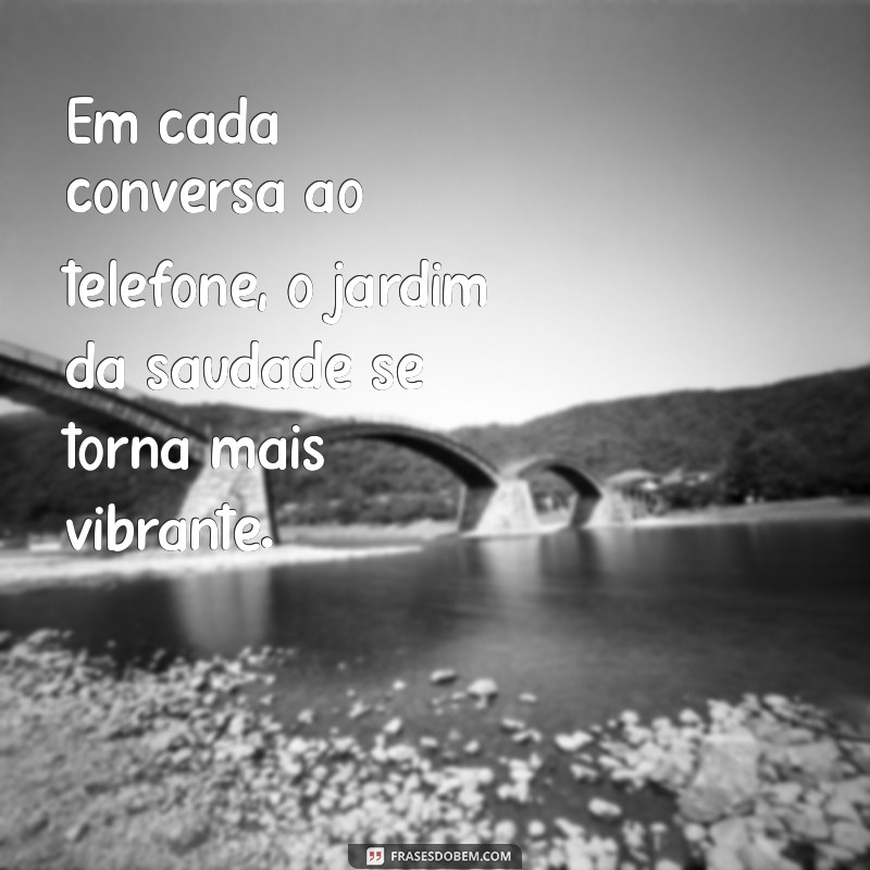 Como Entrar em Contato com o Jardim da Saudade Paciência: Telefone e Informações Úteis 