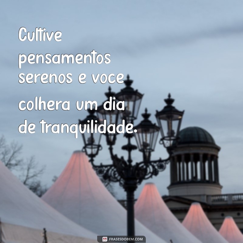 Como Celebrar o Dia da Paz: Dicas e Frases Inspiradoras para Refletir 