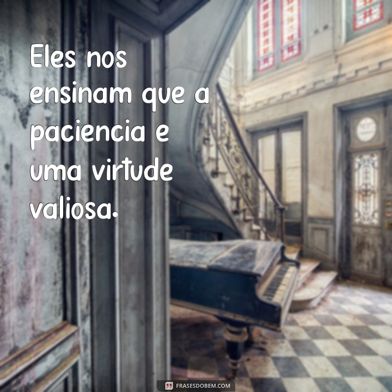 Frases Inspiradoras que Aprendemos com Nossos Filhos 