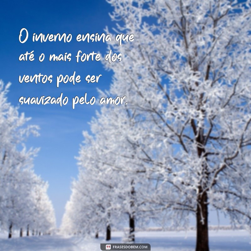 Inspire-se: 20 Frases Aconchegantes para Celebrar o Inverno 