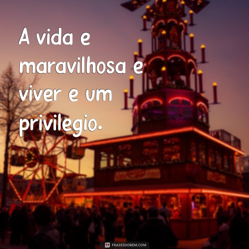 a vida é maravilhosa e viver é um privilégio A vida é maravilhosa e viver é um privilégio.