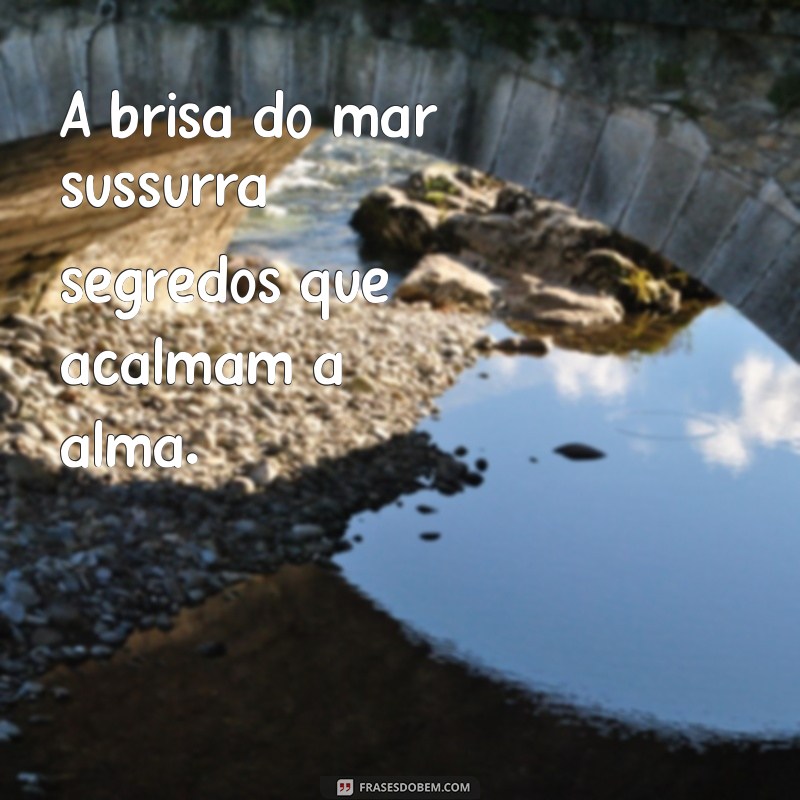 consolo na praia A brisa do mar sussurra segredos que acalmam a alma.