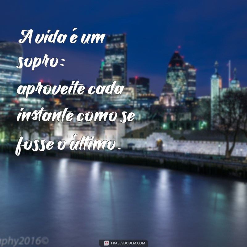 mensagem vida é um sopro A vida é um sopro: aproveite cada instante como se fosse o último.