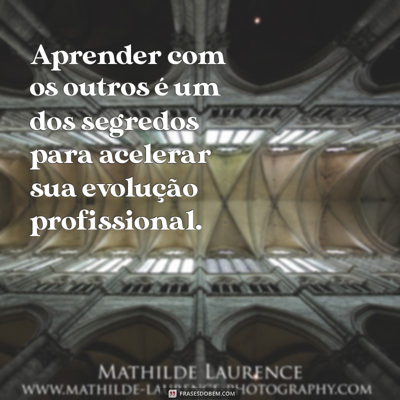 Frases Inspiradoras para Impulsionar Sua Evolução Profissional 