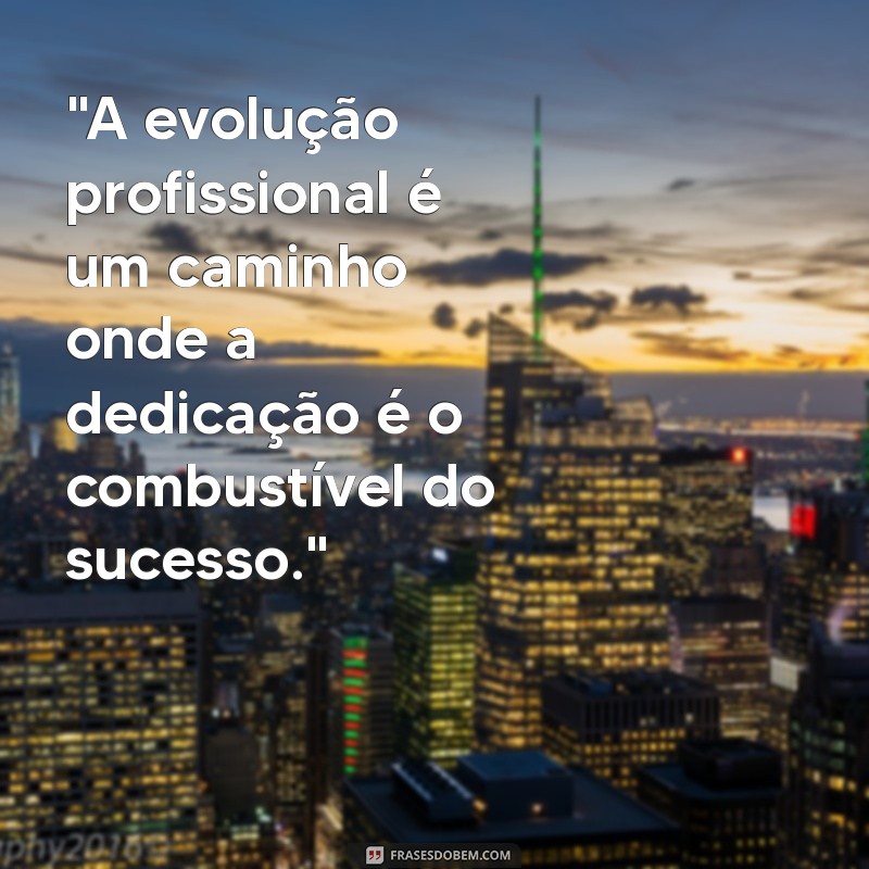 frases sobre evolução profissional 