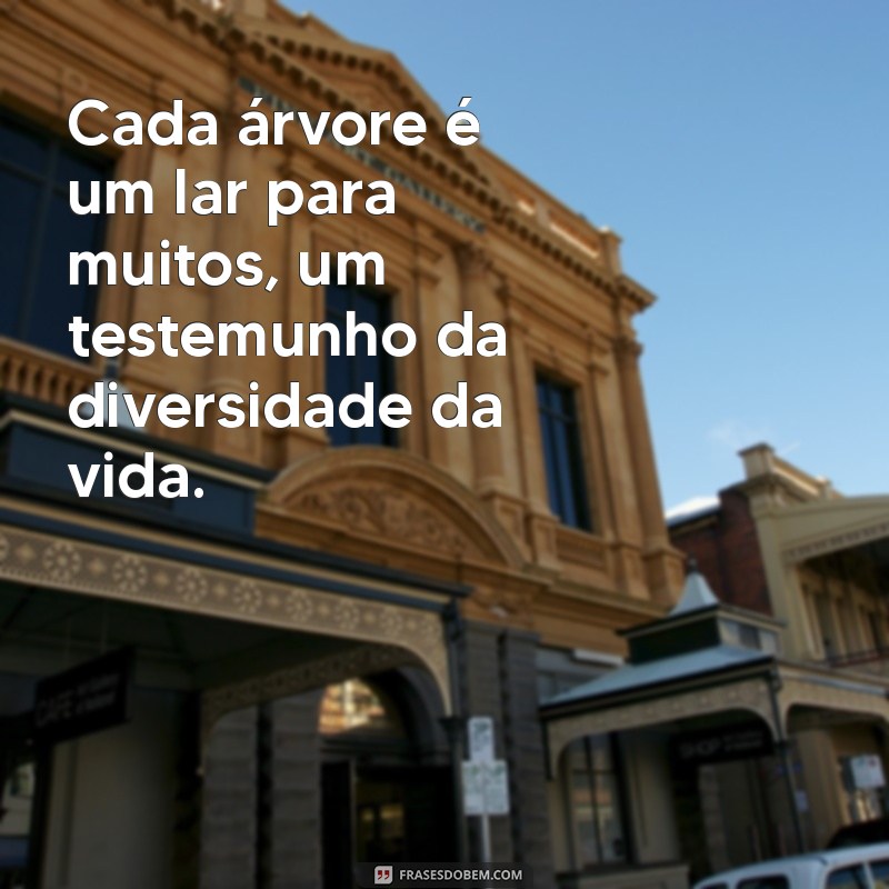 Frases Inspiradoras sobre Árvores: Reflexões e Sabedoria da Natureza 