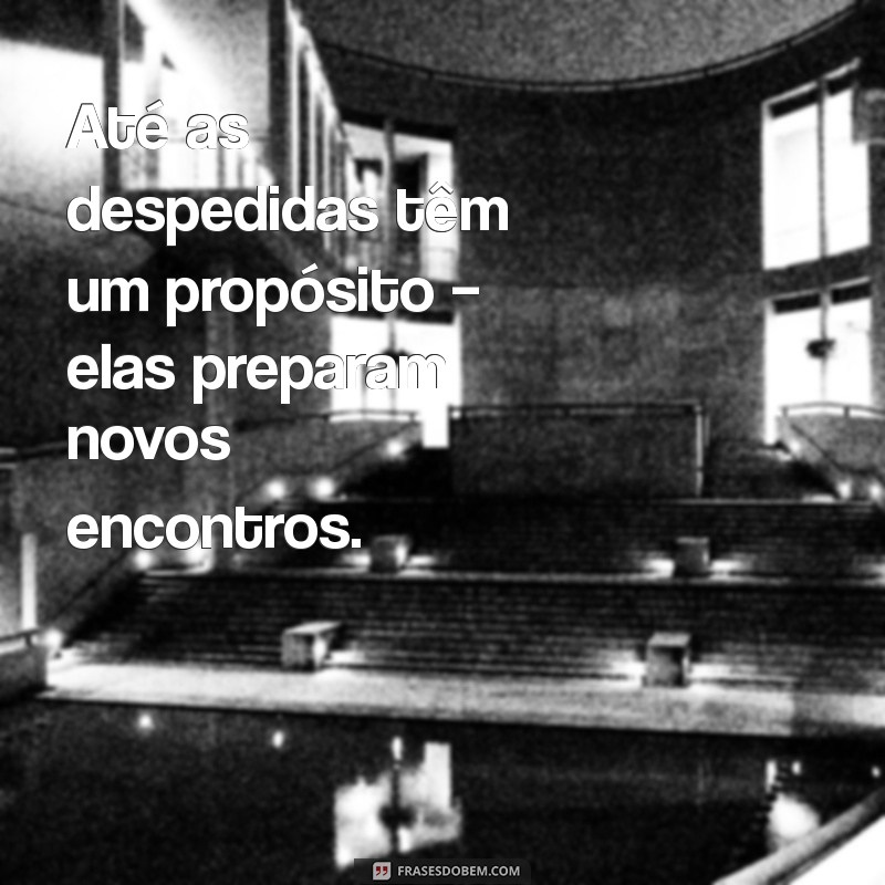 Frases Inspiradoras sobre Propósito: Descubra o Significado em Cada Momento 