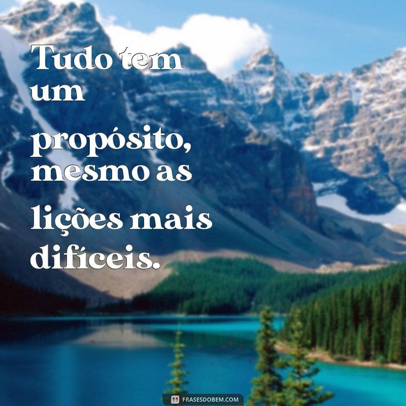 tudo tem um propósito frases Tudo tem um propósito, mesmo as lições mais difíceis.