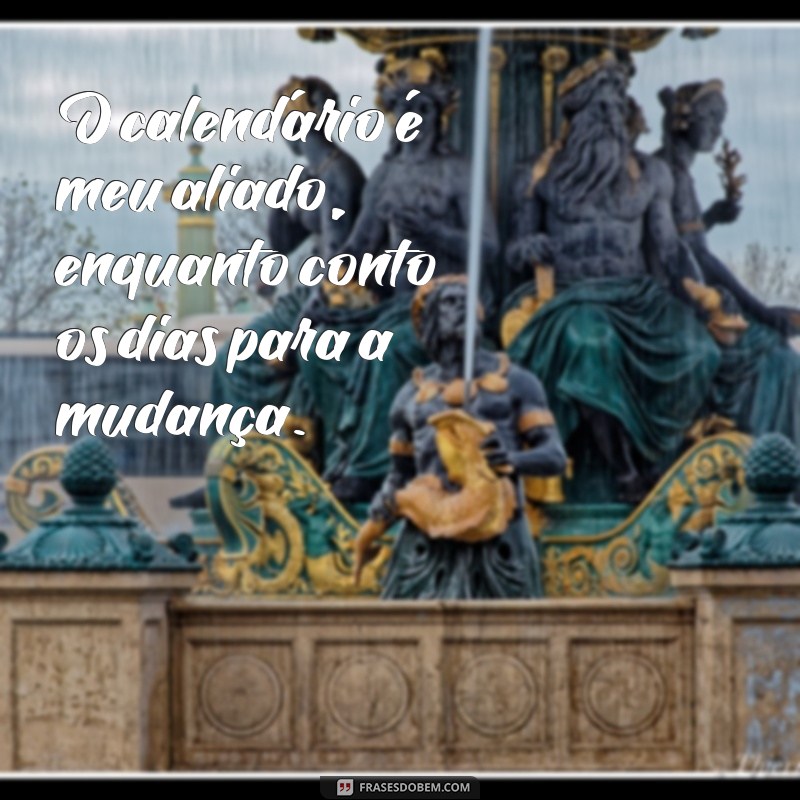 Contando os Dias: Dicas para Apreciar Cada Momento da Sua Vida 