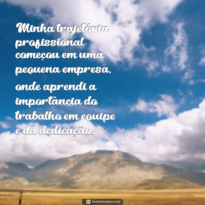 conte-nos sobre sua experiência profissional Minha trajetória profissional começou em uma pequena empresa, onde aprendi a importância do trabalho em equipe e da dedicação.