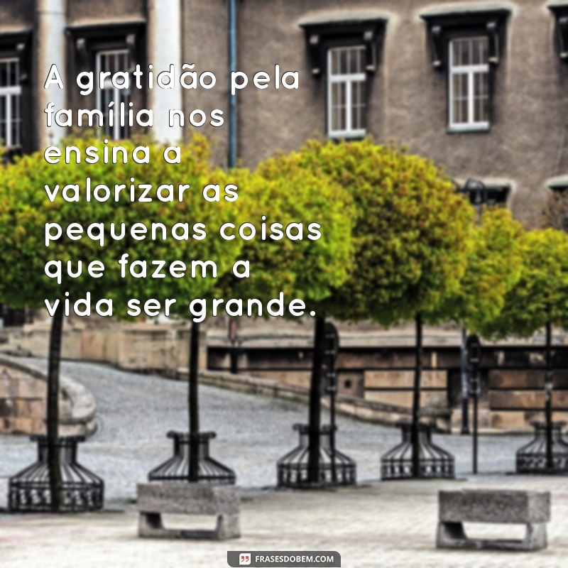 Frases Inspiradoras de Gratidão para Valorizar a Família 