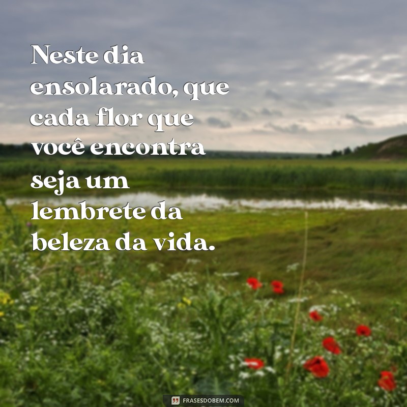 Mensagem de Feliz Domingo: Encante com Frases e Flores 