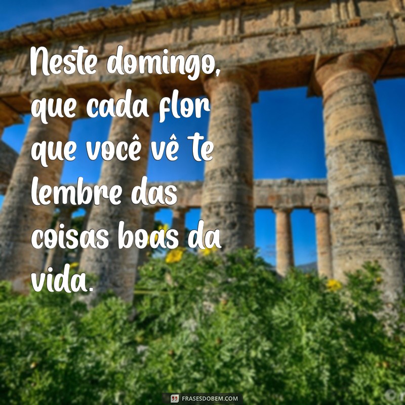 Mensagem de Feliz Domingo: Encante com Frases e Flores 