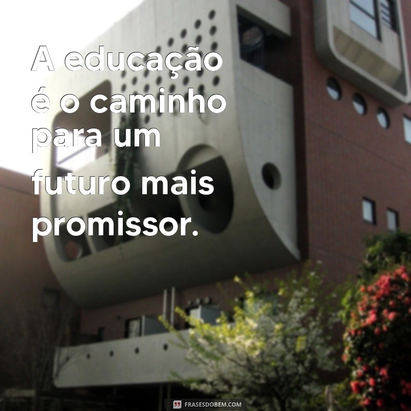 Descubra a Frase Perfeita que Resume a Essência do Texto 