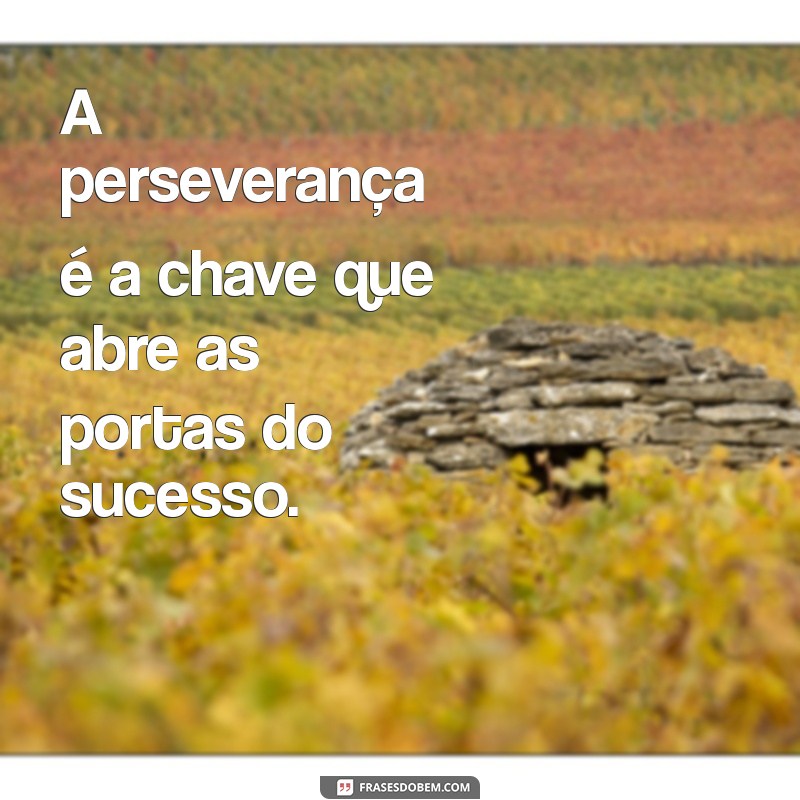 uma frases que resume a ideia principal do texto é A perseverança é a chave que abre as portas do sucesso.