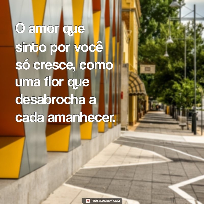 As Melhores Frases de Amor para Encantar Sua Esposa 